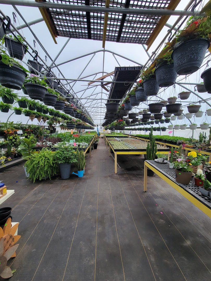 Plants in Stevens: Mt. Airy Greenhouse