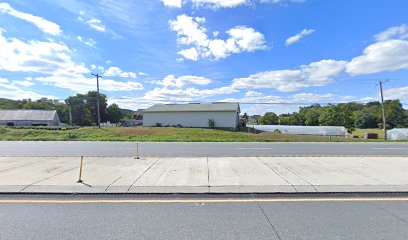 Plants in Willow Street: Pequea Creek Greenhouse