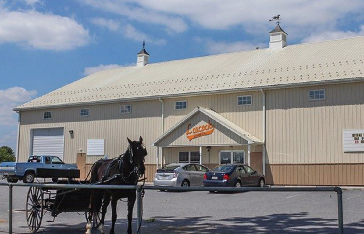 Sporting Goods Stores in Gordonville: Leacock Sports