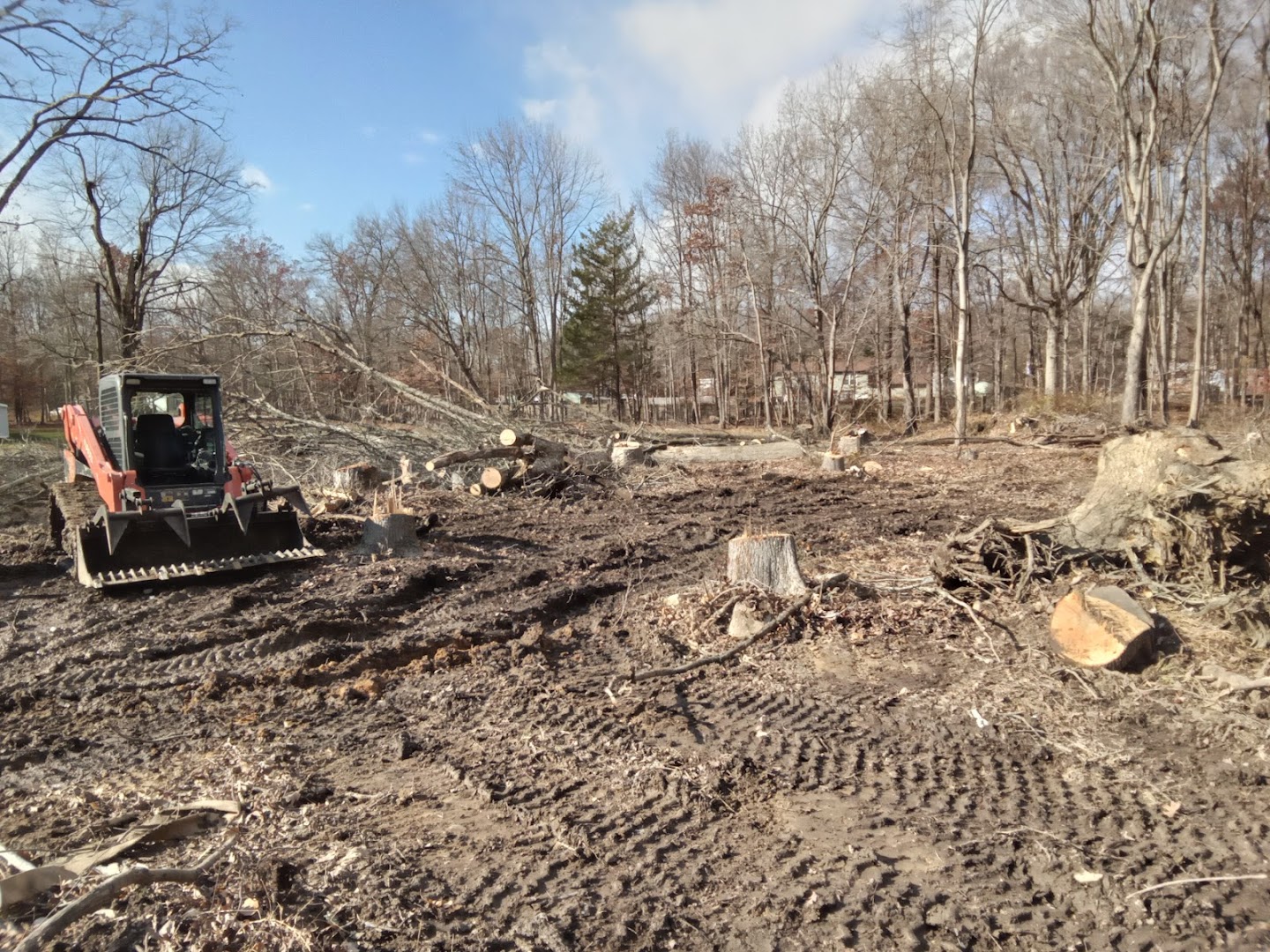 Tree Services in Christiana: King's Sawmilling LLC