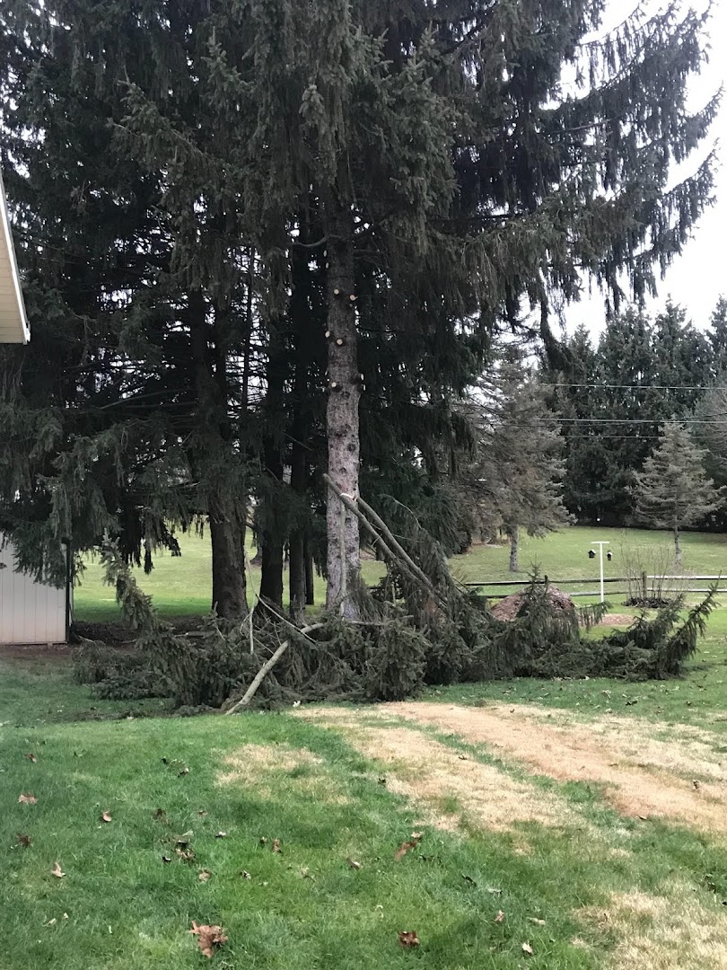 Tree Services in Conestoga: Conestoga Ventures