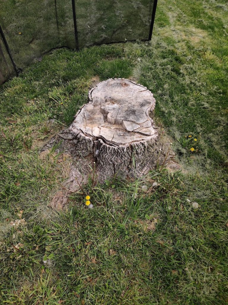 Tree Services in Elizabethtown: StumpBustersLLC - Stump Grinding