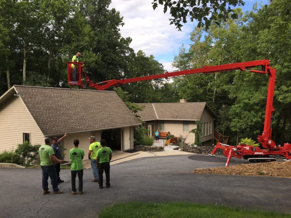 Tree Services in Lancaster: Gebhard & Son Tree Service