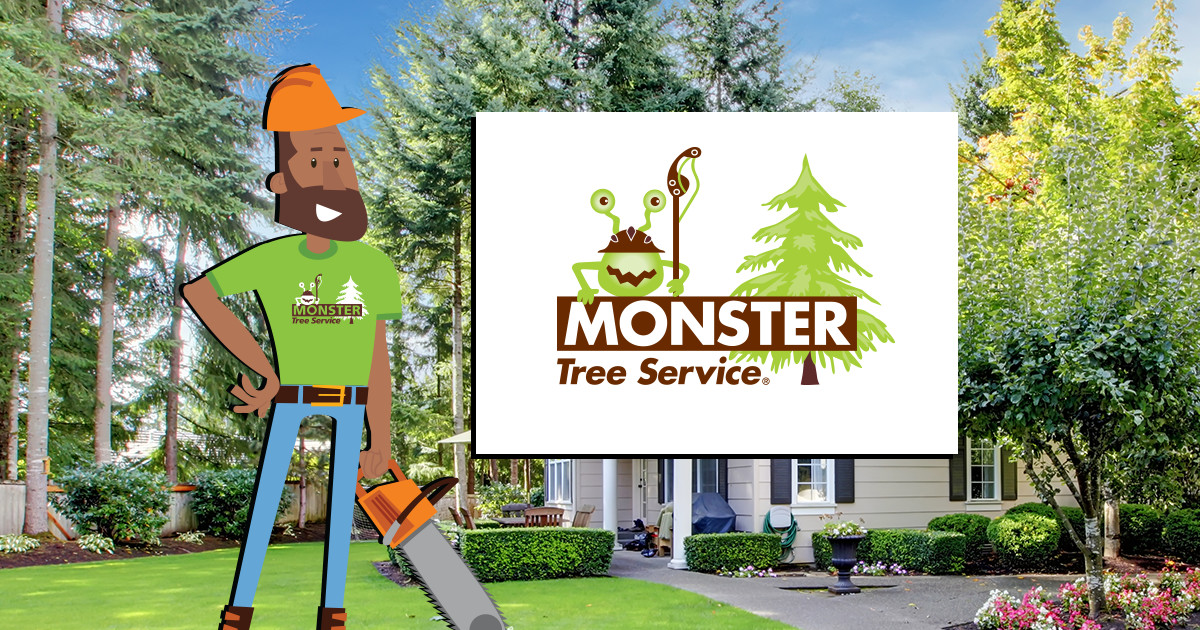 Tree Services in Lancaster: Monster Tree Service of Lancaster