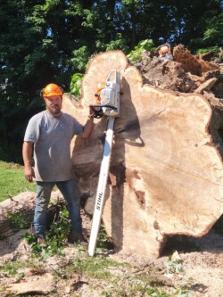 Tree Services in Lancaster: Upland Timber Tree Service