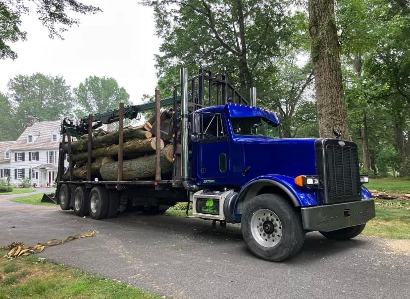 Tree Services in Lancaster: Urban Forestry of Pennsylvania