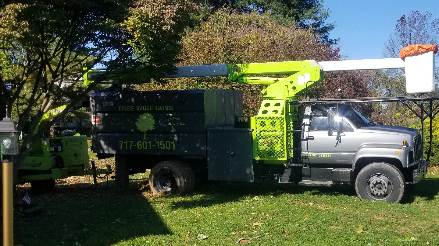 Tree Services in Lititz: Tree Wise Guys LLC.