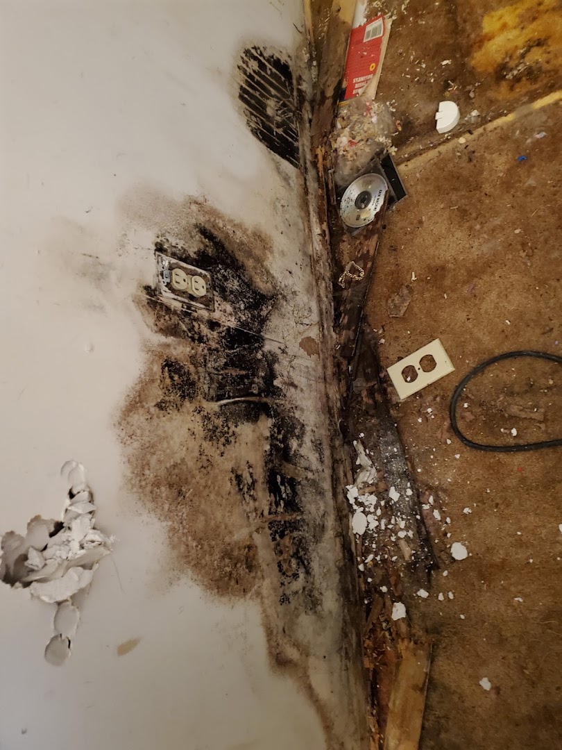 Water Damage Restoration Services in Elizabethtown: The Mold Removers LLC