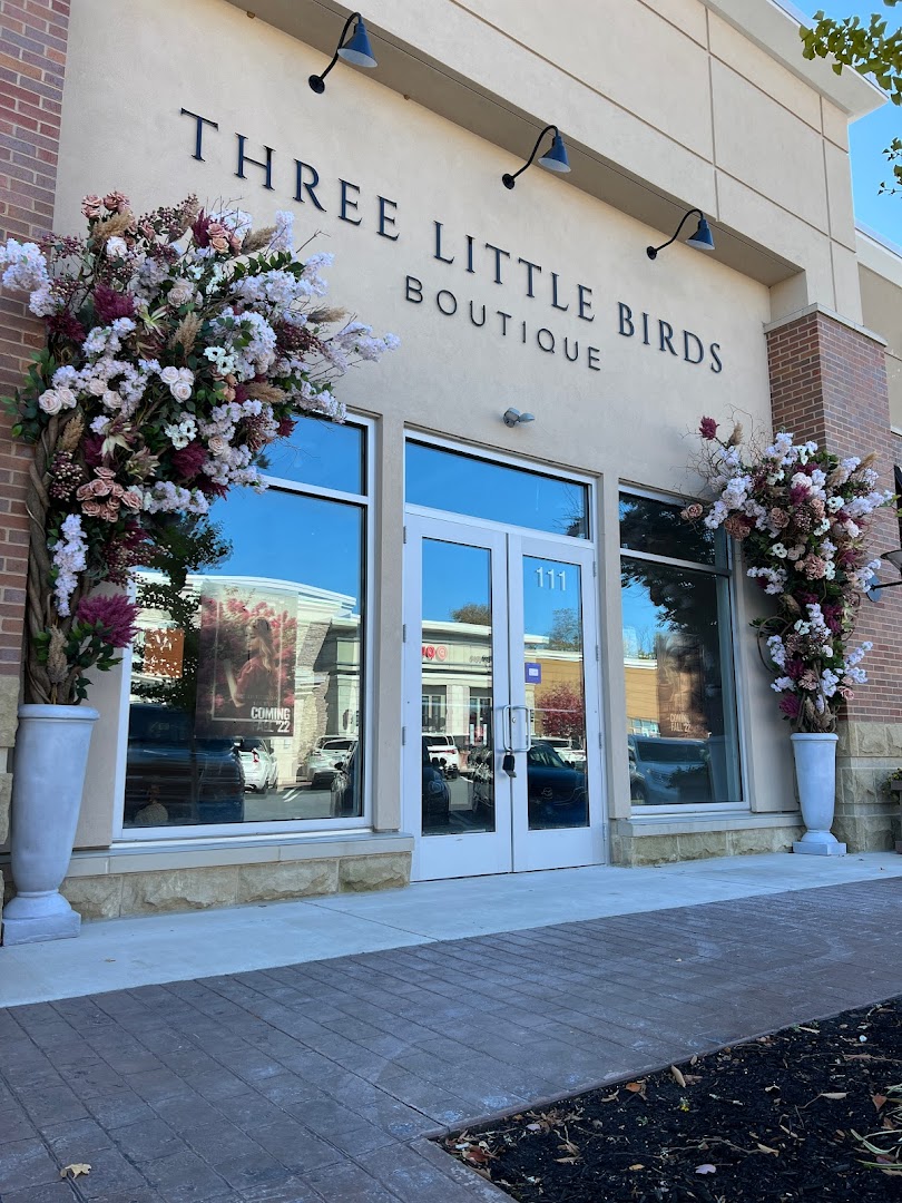 Women's Clothing Stores in Lancaster: Three Little Birds