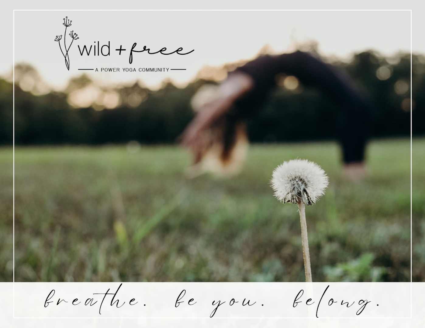 Yoga Studios in Elizabethtown: Wild + Free Power Yoga