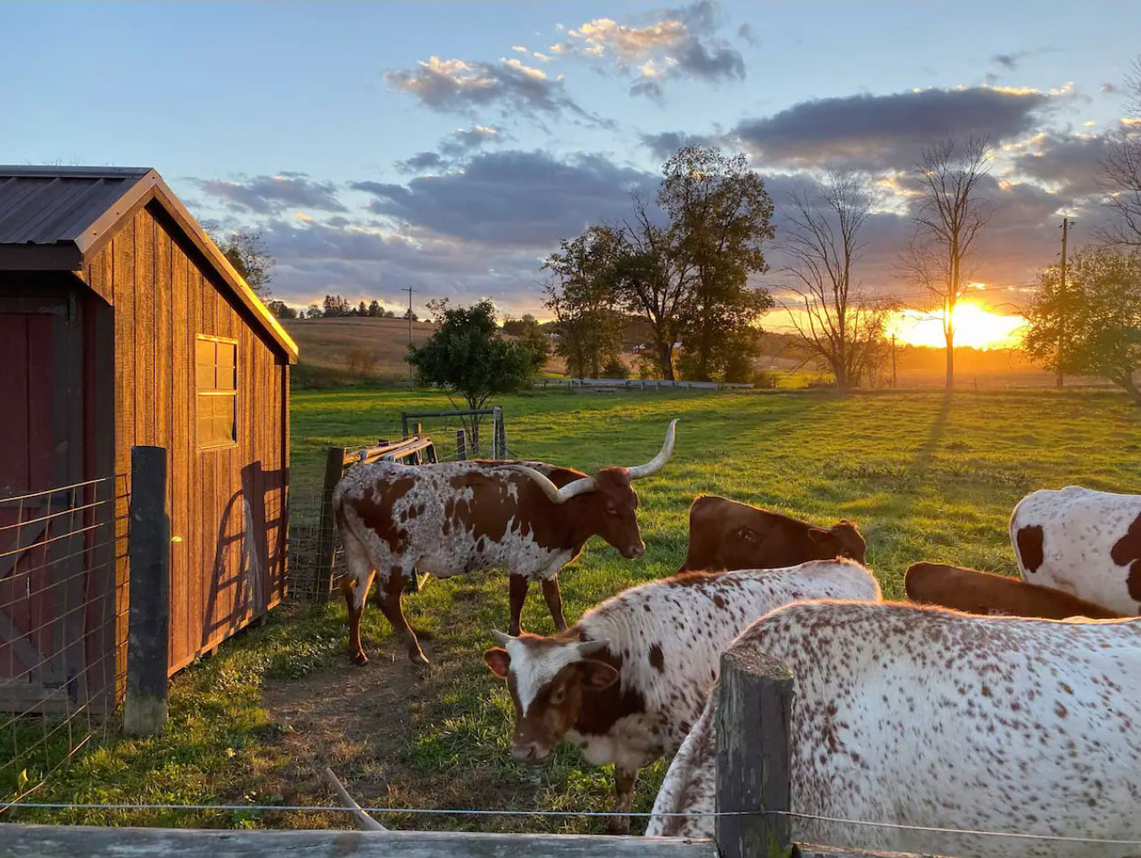 Airy Hill Ranch Guesthouse: Manheim Bed & Breakfasts