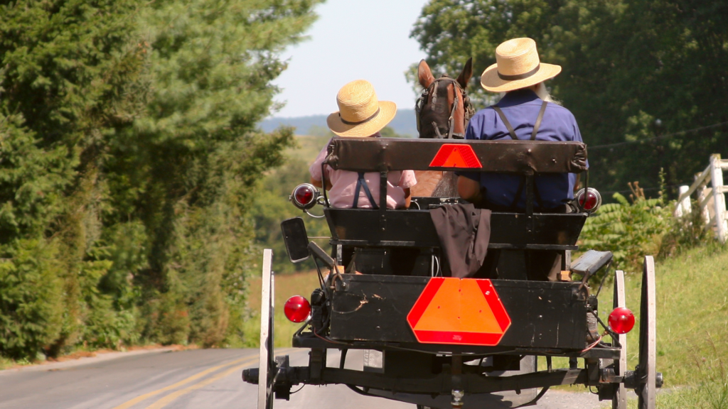 Amish Farm and House: Lancaster Museums