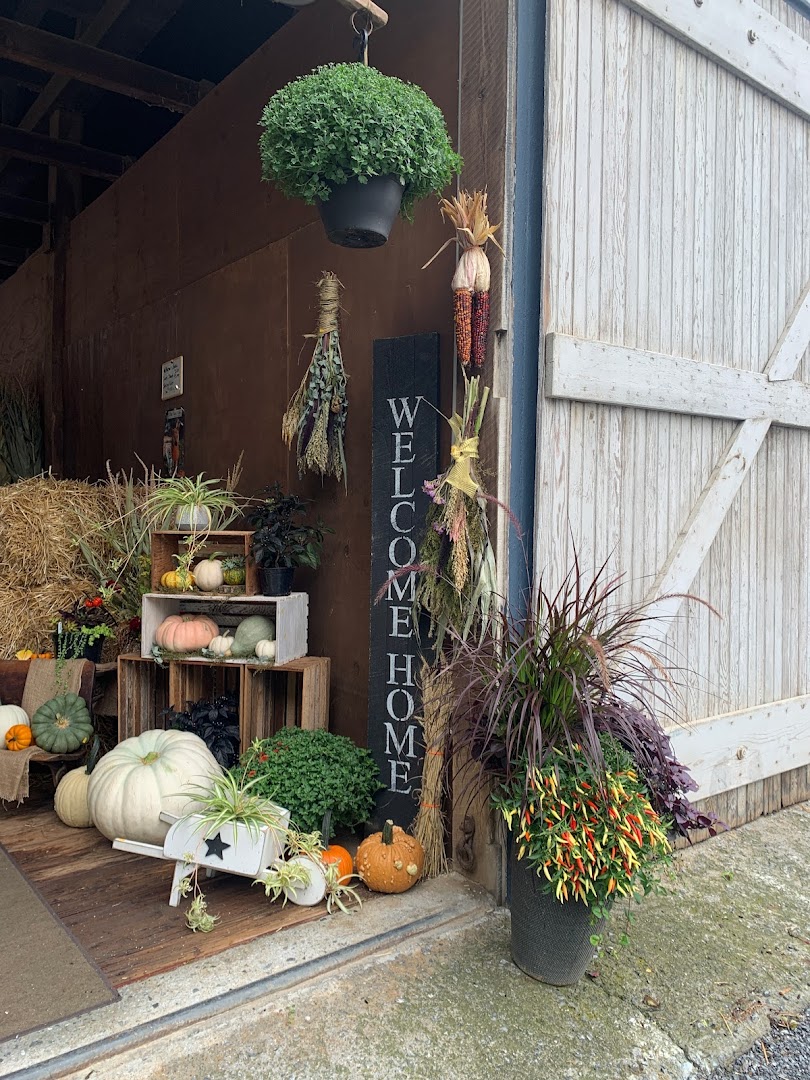 Pine Hill Farms (Pumpkins