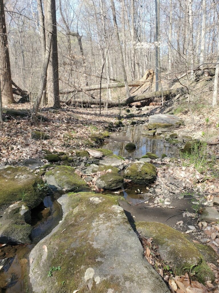 Bellaire Woods Nature Preserve: Elizabethtown Nature Preserves