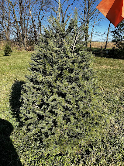 Bowser's Christmas Tree Farm: Lititz Christmas Tree Farms