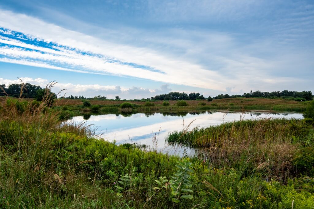 Chestnut Grove Natural Area: Conestoga Parks