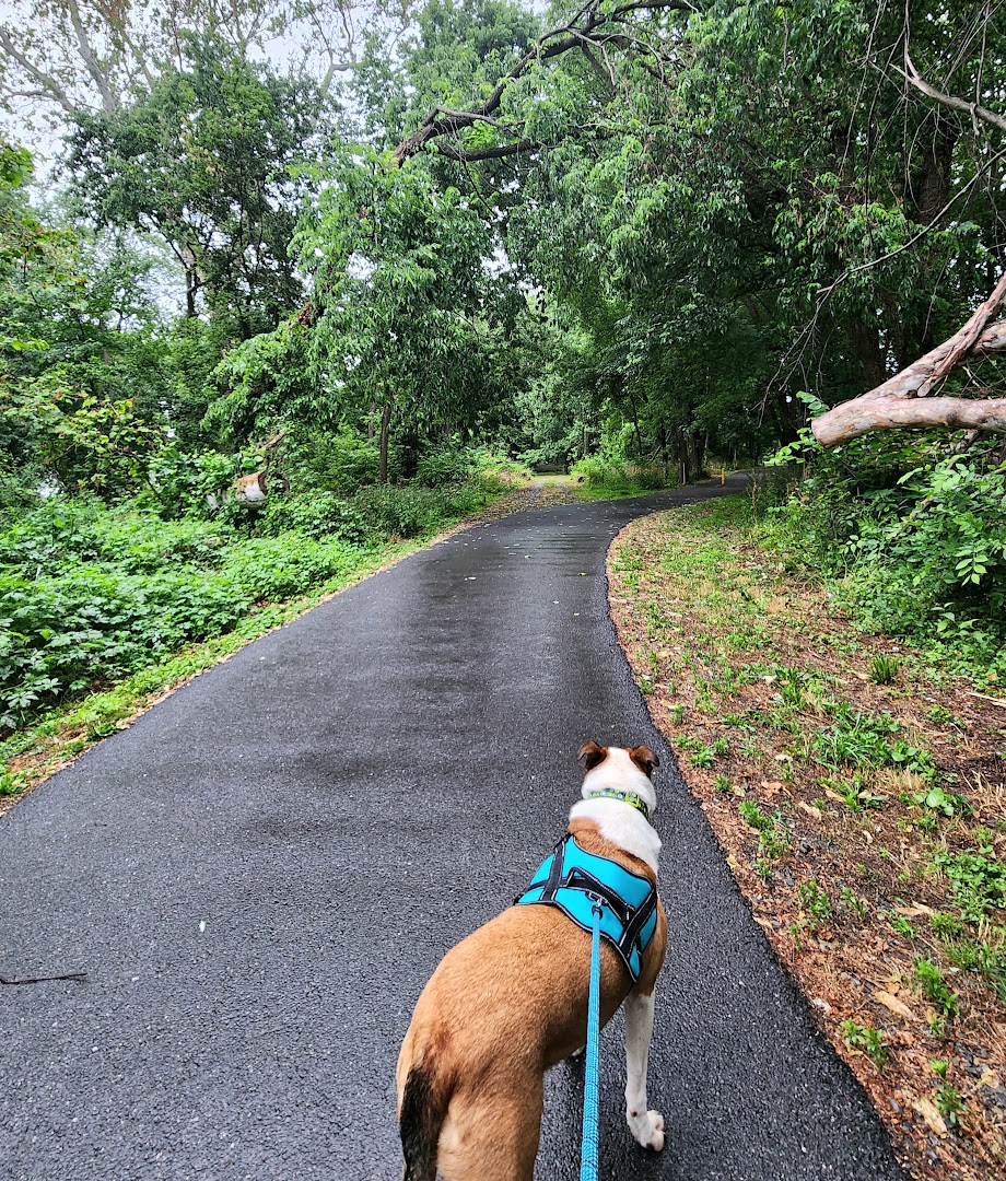 Chestnut St. Park: Marietta Campgrounds