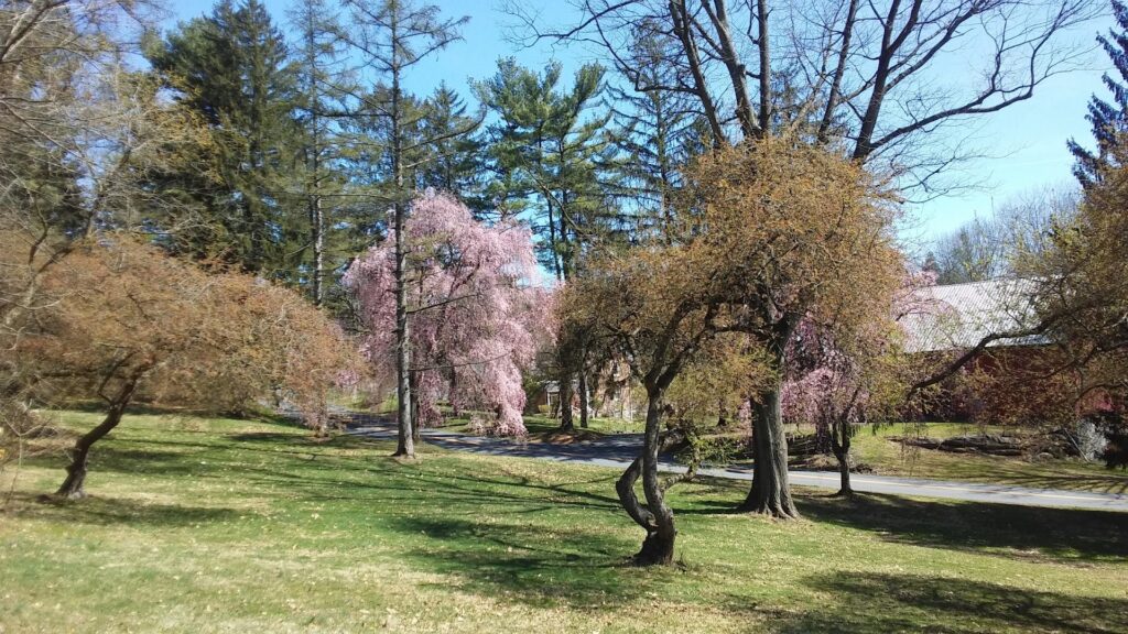 D.F. Buchmiller County Park: Lancaster Campgrounds