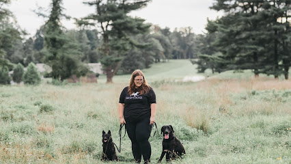 Ducey's Dogs: Lancaster Dog Trainers