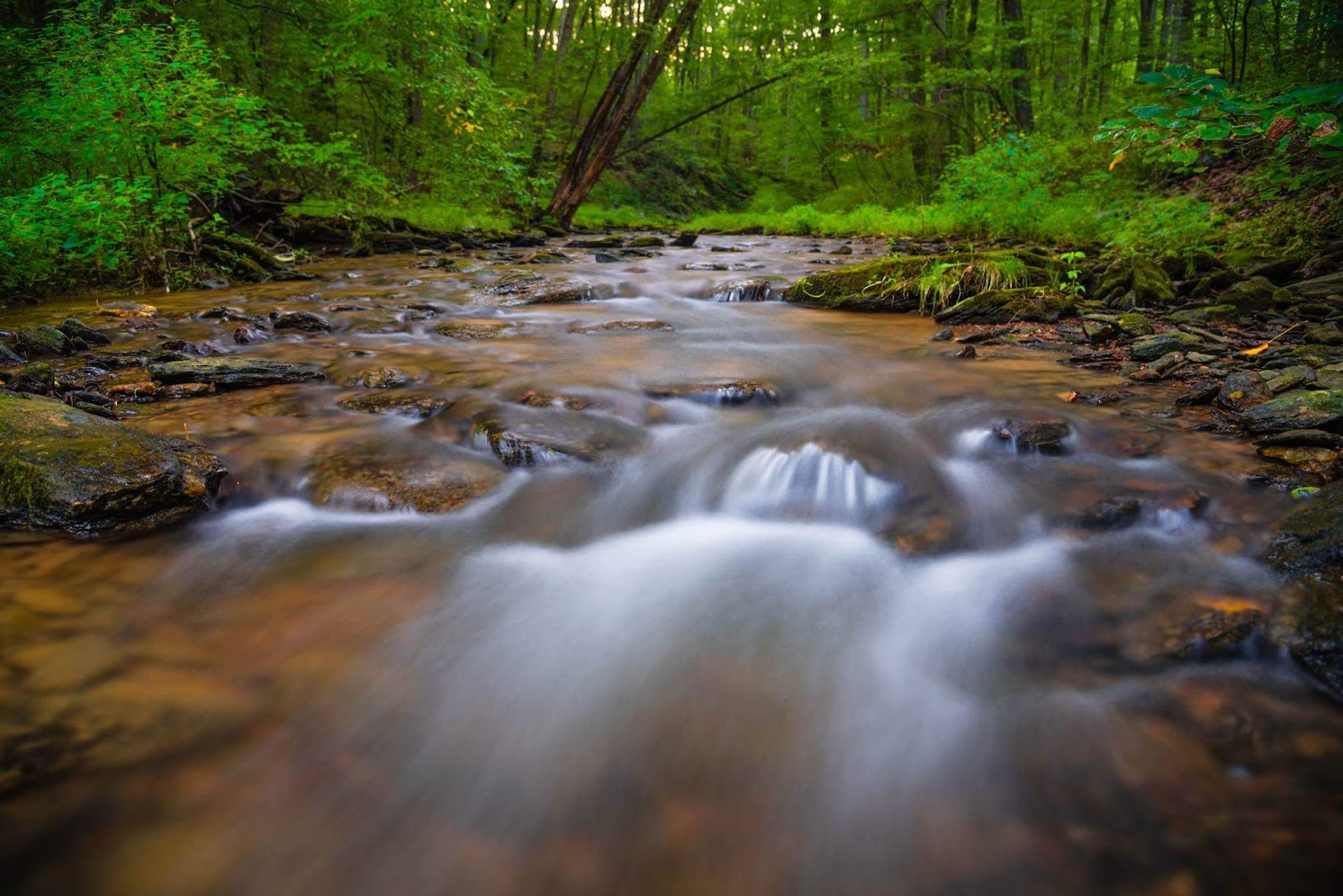 Fishing Creek Scalpy Hollow Nature Preserve: Holtwood Tourist Attractions