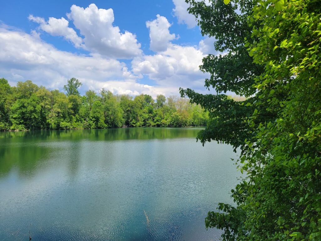 Lake Grubb Nature Park: Columbia Nature Preserves