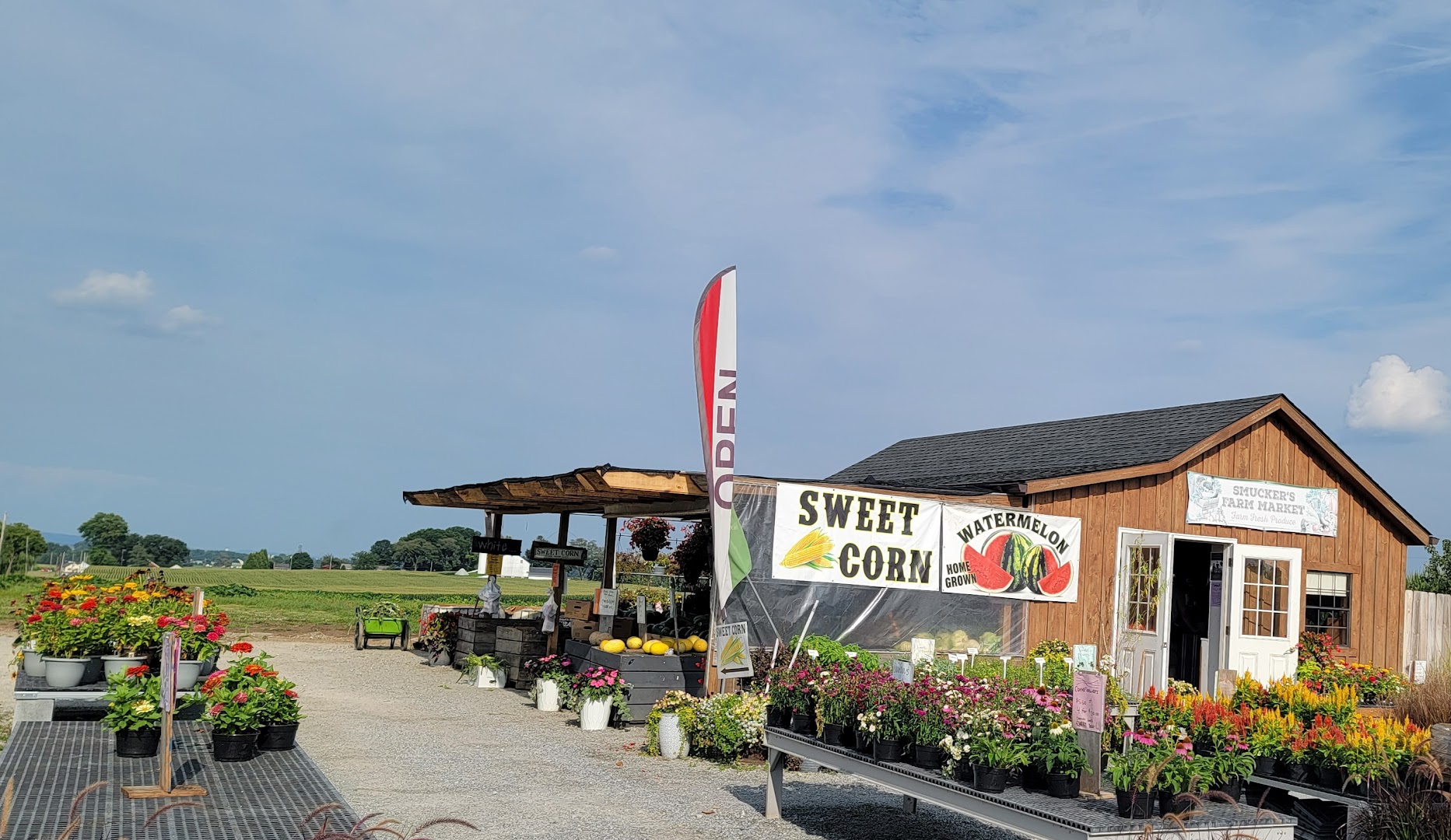 Smucker's Farm Market: Lancaster Pumpkin Patches