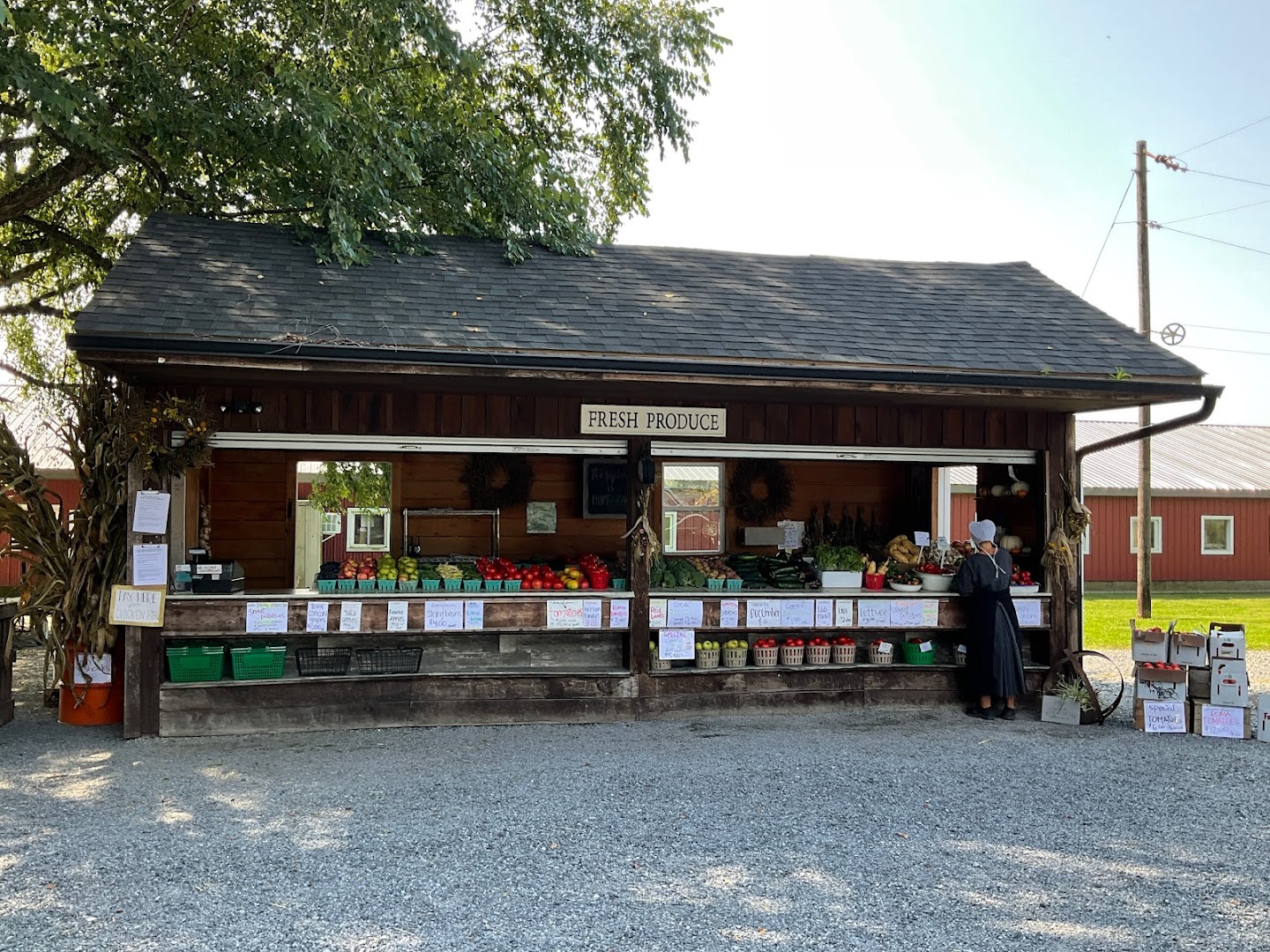 Lapp's Farm Market: Lancaster Pumpkin Patches