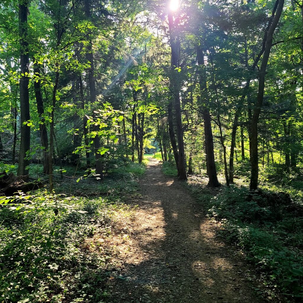 Landis Woods Park: Lancaster Parks