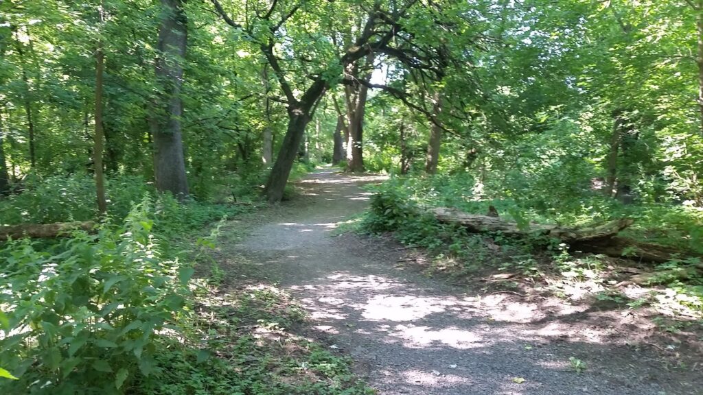 Maple Grove Park: Lancaster Parks