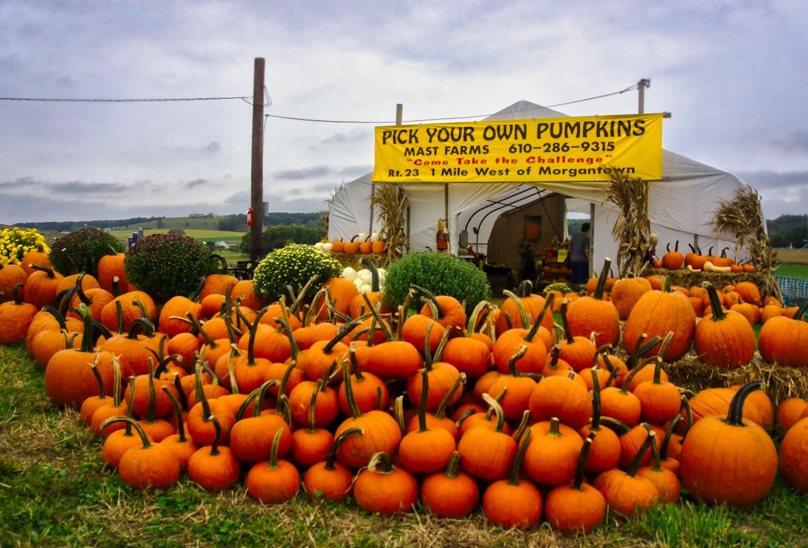 The Amazing Maize Maze: Morgantown Farms