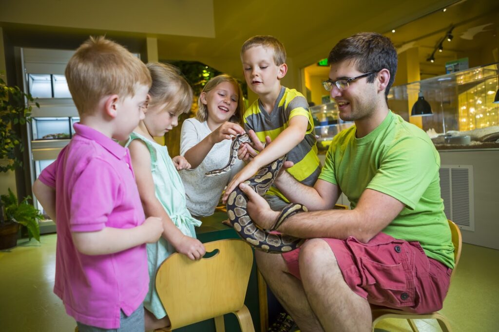 North Museum of Nature and Science: Lancaster Science Museums