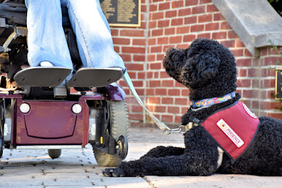 Phoenix Assistance Dogs Of Central PA: Lititz Dog Trainers