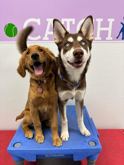 Playful Pups Retreat: Elizabethtown Dog Day Care Centers