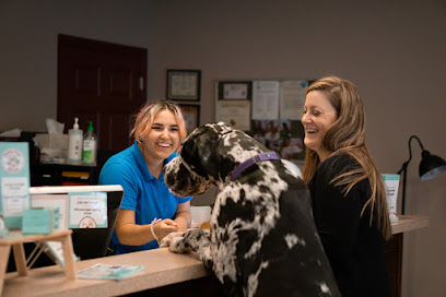 Playful Pups Retreat: Elizabethtown Pet Boarding Services