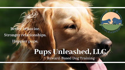 Pups Unleashed: Lancaster Dog Trainers