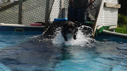 Rocky Creek Dog Agility: Ephrata Dog Trainers