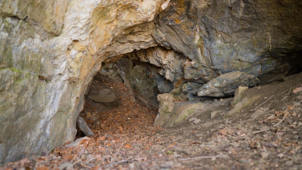 Silver Mine Park: Conestoga Parks