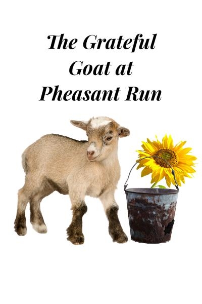 The Grateful Goat at Pheasant Run: Gordonville Gift Shops