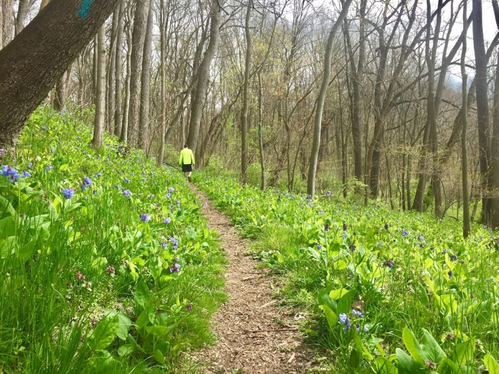 Windolph Landing Nature Preserve: Lancaster Nature Preserves